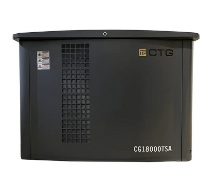 Генератор газовый с мультитопливным двигателем CTG CG18000SA